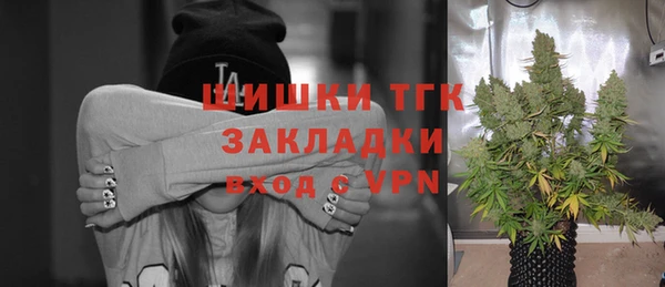 дурь Арсеньев